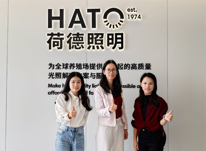 灯光照明行业办公空间焕新就来太阳GG装饰